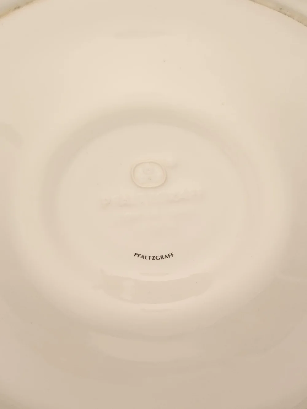 Vintage Pfaltzgraff Flordia Gator Serving Plate.
